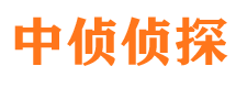 东洲市婚外情调查